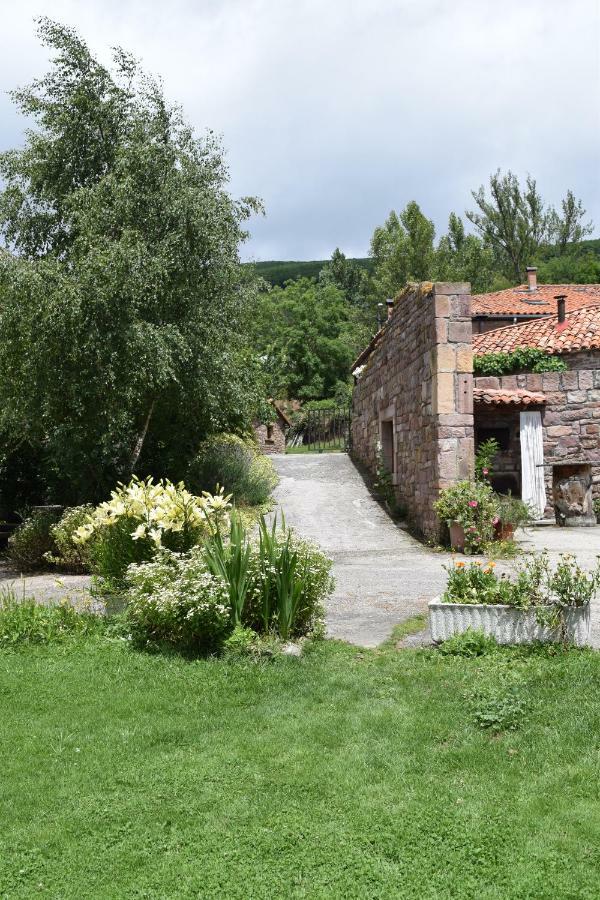 Casa Miguel Leilighet Olea Eksteriør bilde